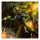 X-Ray Dog - X Pack (CD)