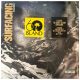 R.LUM.R - Surfacing (LP vinyl)