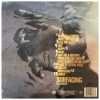 R.LUM.R - Surfacing (LP vinyl)