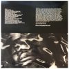R.LUM.R - Surfacing (LP vinyl)