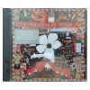 Steve Earle And The Del McCoury Band - The Mountain (CD)