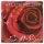 Willie Nelson - First Rose Of Spring (CD)