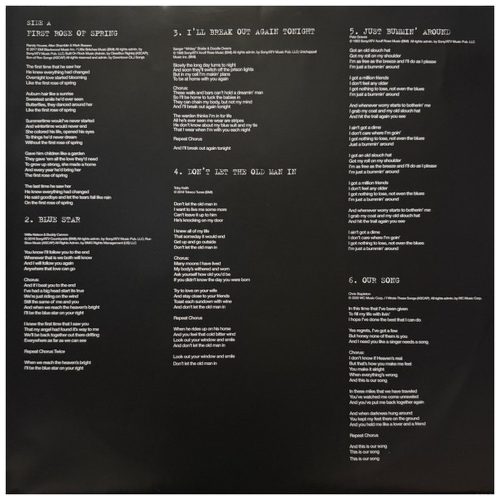 Willie Nelson - First Rose Of Spring (LP vinyl)