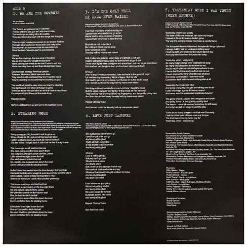 Willie Nelson - First Rose Of Spring (LP vinyl)