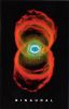 Pearl Jam - Binaural (kazetta)