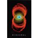 Pearl Jam - Binaural (kazetta)