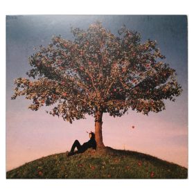 slowthai - Tyron (CD)