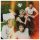 Why Don't We - The Good Times and The Bad Ones (LP vinyl)