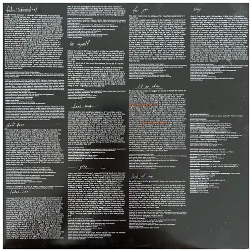 Why Don't We - The Good Times and The Bad Ones (LP vinyl)