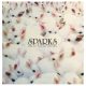 Sparks - Hello Young Lovers (2× LP vinyl)