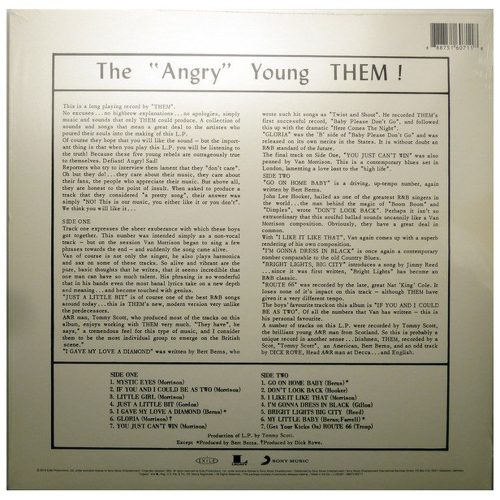 Them - The "Angry" Young Them! (LP vinyl)