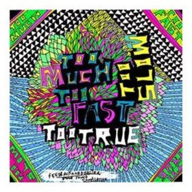 Various - Too Much Too Fast Too True Too Slow (CD)