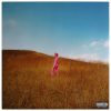 The Regrettes - Further Joy (LP vinyl)