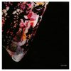 Suede - A New Morning (2× CD + DVD)