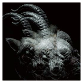 The GazettE - Beautiful Deformity (CD)