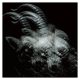 The GazettE - Beautiful Deformity (CD)