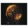 TheGazette - Heterodoxy (Divided 3 Concepts) (3× CD)