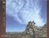 Molotov - Apocalypshit (CD)