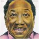 Muddy Waters - I'm Ready (CD)