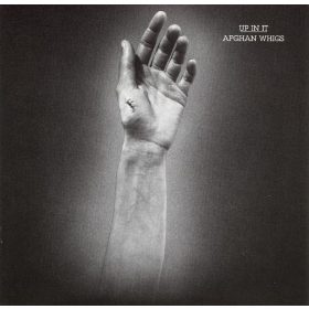 Afghan Whigs - Up In It (CD)