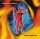 Inspiral Carpets - Devil Hopping (CD)
