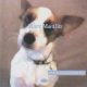 Marc Moulin - Entertainment (CD)