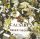 Caesars - Paper Tigers (CD)