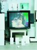 Björk - Later (DVD)