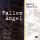 Larry Coryell - Fallen Angel (CD)