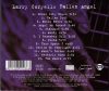Larry Coryell - Fallen Angel (CD)