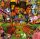 Rockers Hi-Fi - Overproof (CD)