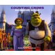 Counting Crows - Accidentally In Love (CD)
