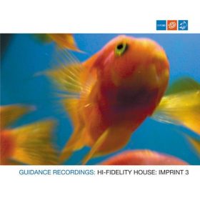 Various - Hi-Fidelity House: Imprint 3 (CD)