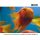 Various - Hi-Fidelity House: Imprint 3 (CD)