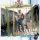 Keziah Jones - Black Orpheus (CD)