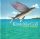Kirsty MacColl - Tropical Brainstorm (CD)