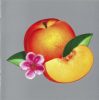 Phoenix - Bankrupt! (CD)