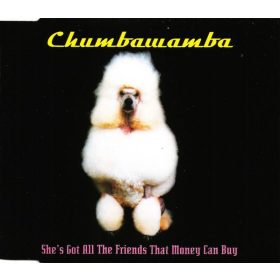   Chumbawamba - She's Got All The Friends That Money Can Buy (CDs)