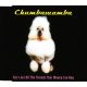 Chumbawamba - She's Got All The Friends That Money Can Buy (CDs)