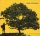 Jack Johnson - In Between Dreams (CD)