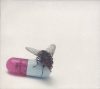 Red Hot Chili Peppers - I'm With You (CD)