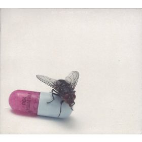 Red Hot Chili Peppers - I'm With You (CD)