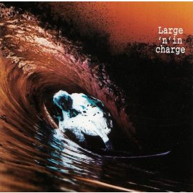Various - Large 'N' In Charge (CD)