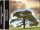 Clearlake - Cedars (PROMO) (CD, promo)