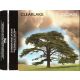 Clearlake - Cedars (PROMO) (CD, promo)