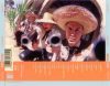 Blink 182 - Dude Ranch (CD)