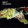 Zero 7 - The Garden (CD)