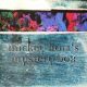 Mickey Hart - Mickey Hart's Mystery Box (CD)