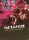 The Rapture - Is Live, And Well, In New York City (DVD)