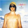 Sebadoh - Rocking The Forest / Sebadoh Vs. Helmet (CD)